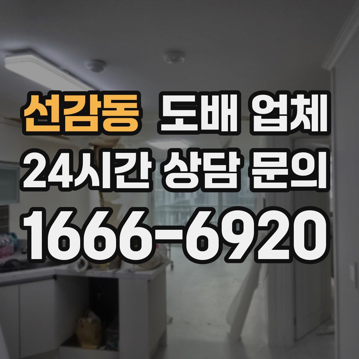선감동 도배 업체