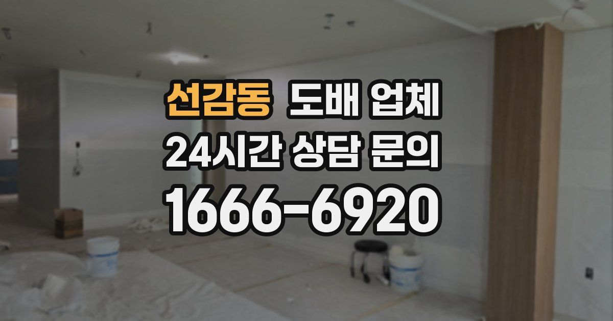 선감동 도배 업체