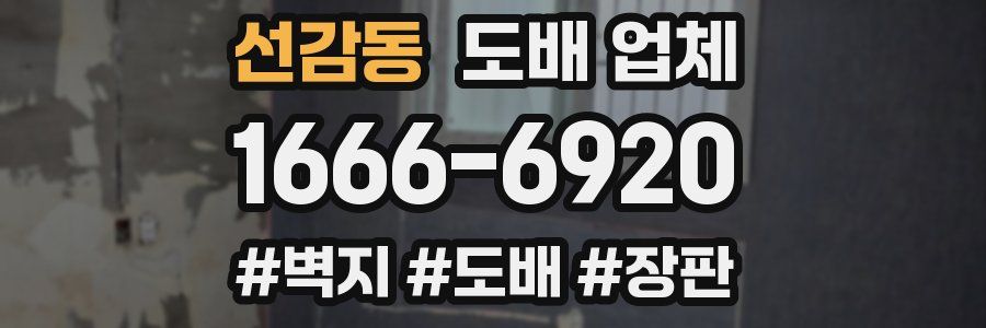 선감동 도배 업체