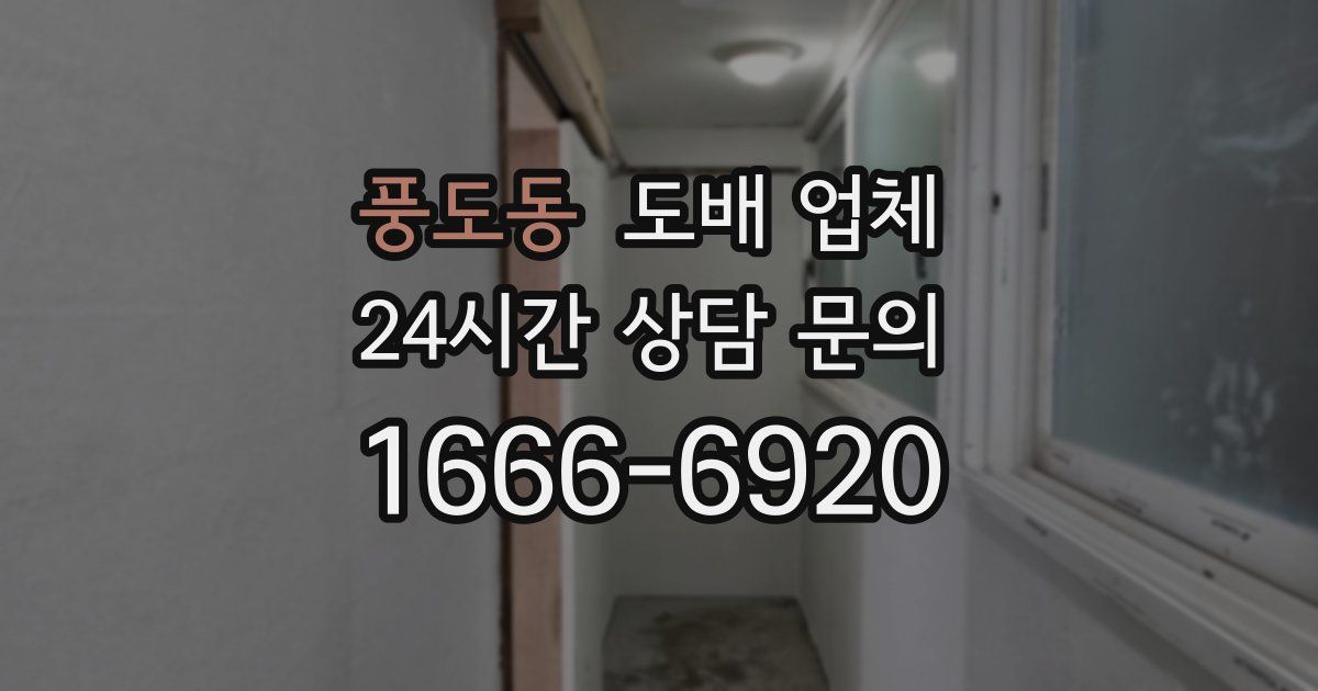 풍도동 도배 업체