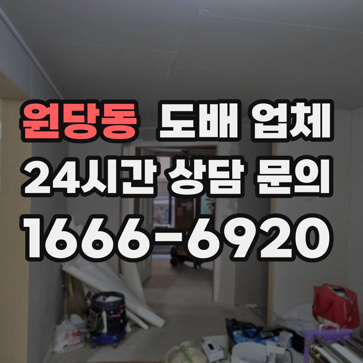 원당동 도배 업체