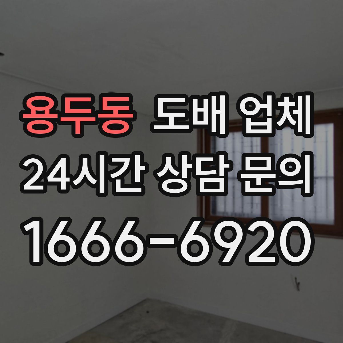 용두동 도배 업체