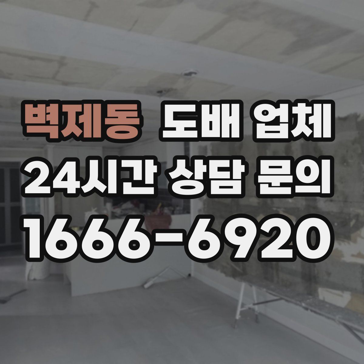 벽제동 도배 업체