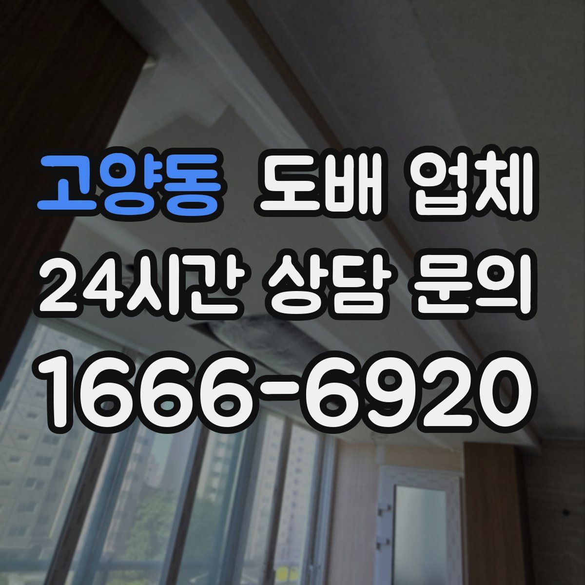 고양동 도배 업체