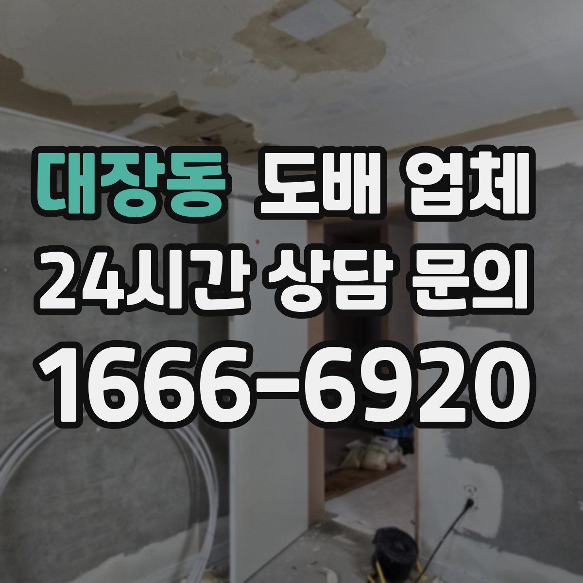 대장동 도배 업체