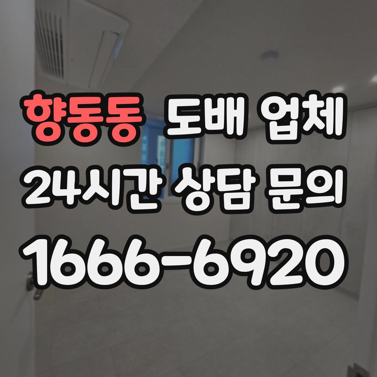향동동 도배 업체