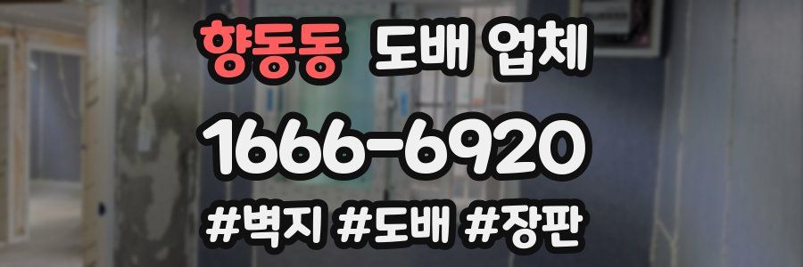 향동동 도배 업체