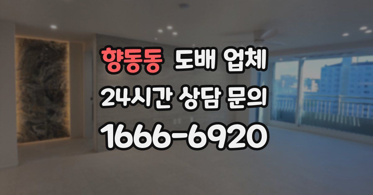 향동동 도배 업체