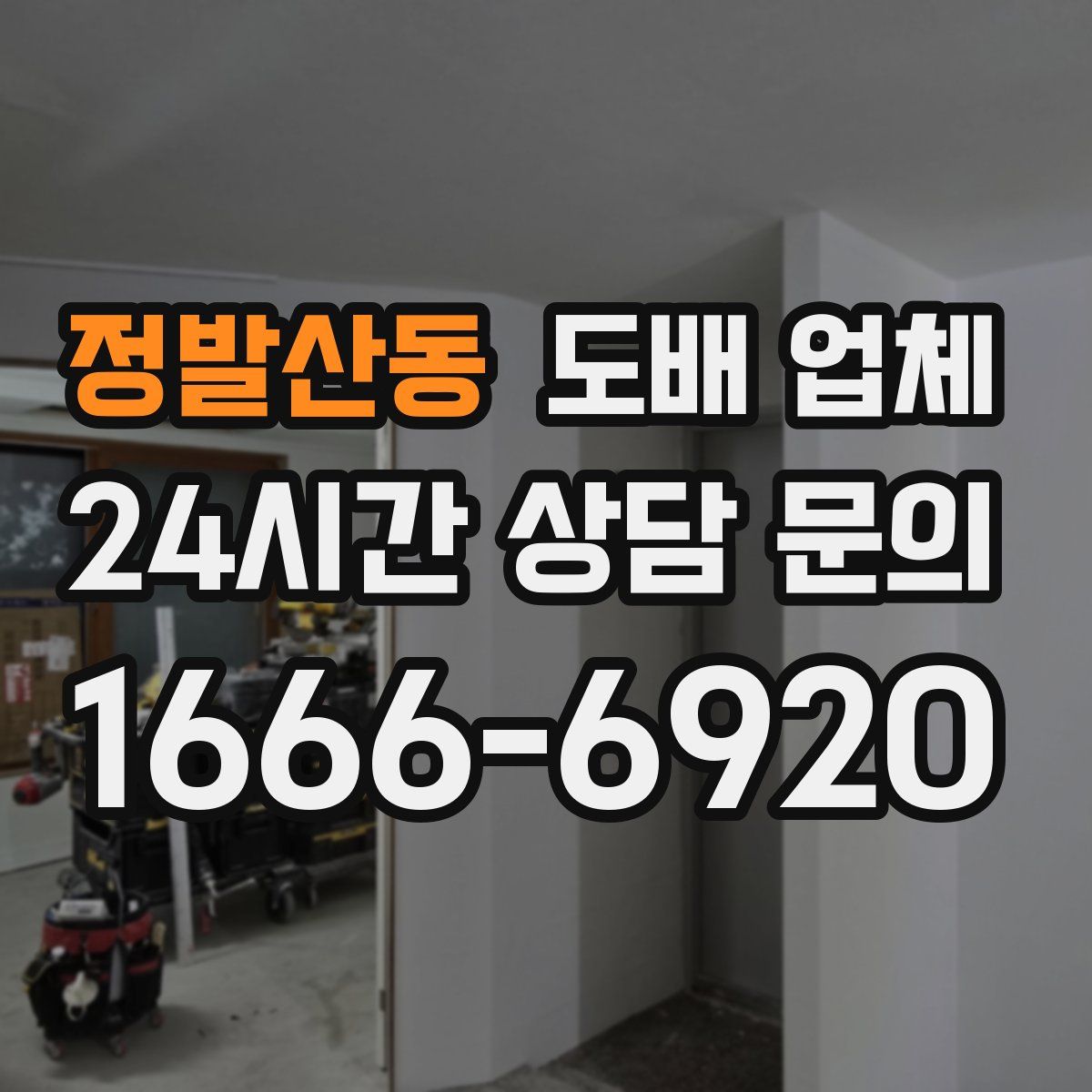 정발산동 도배 업체