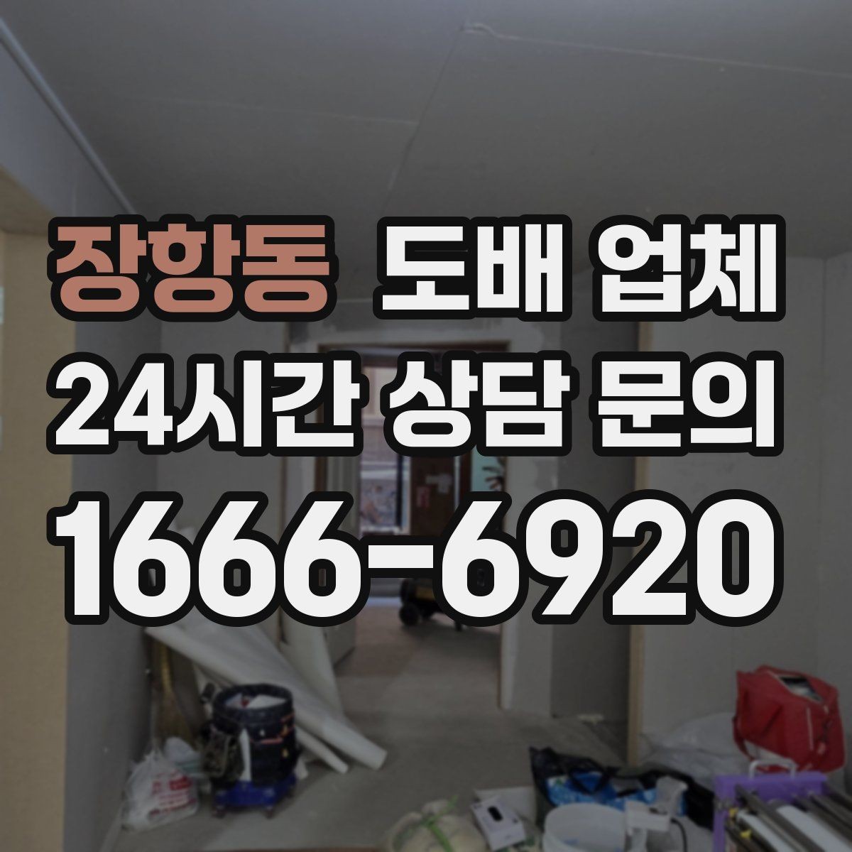장항동 도배 업체 실내 환경에 맞는 벽지 고르기