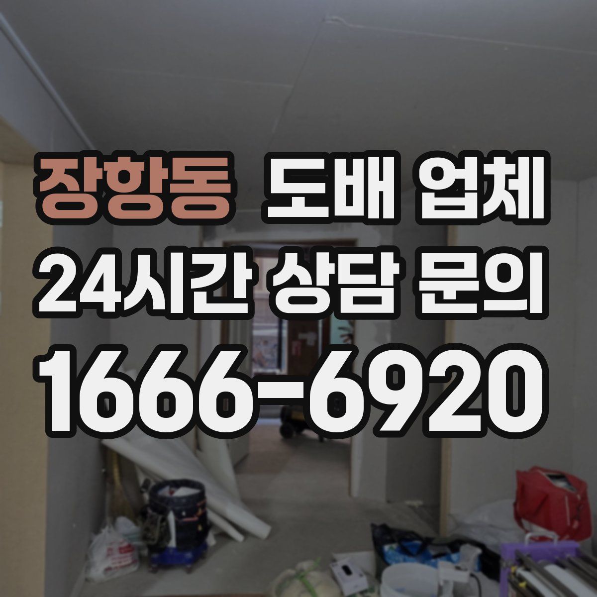 장항동 도배 업체