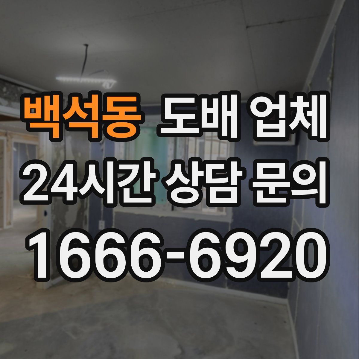 백석동 도배 업체