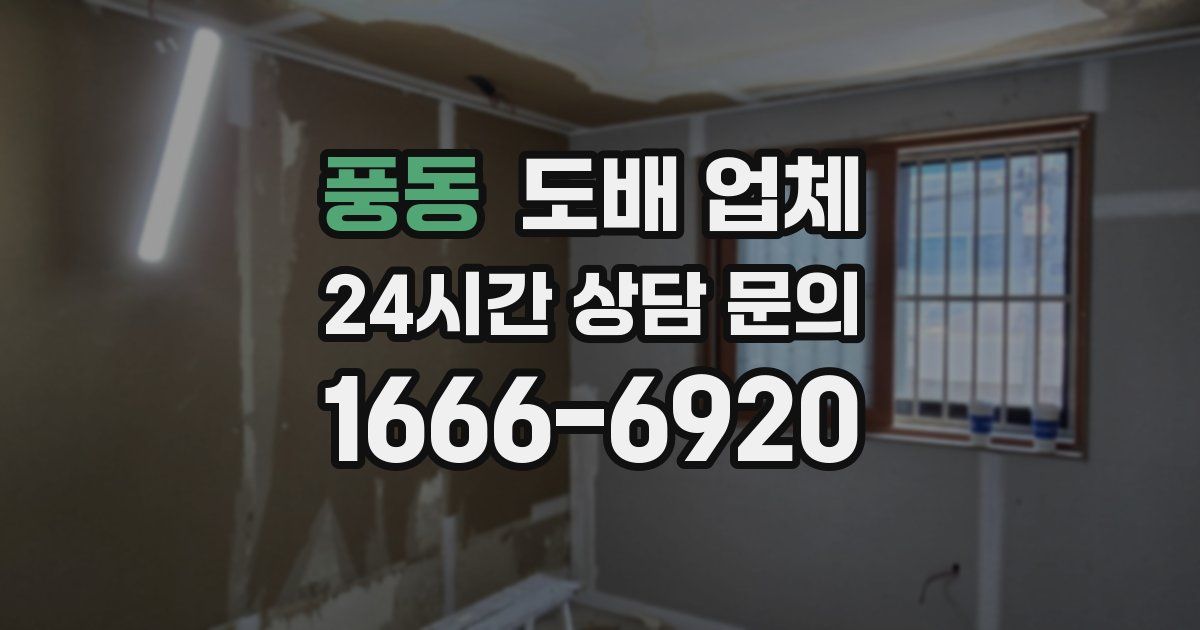 풍동 도배 업체