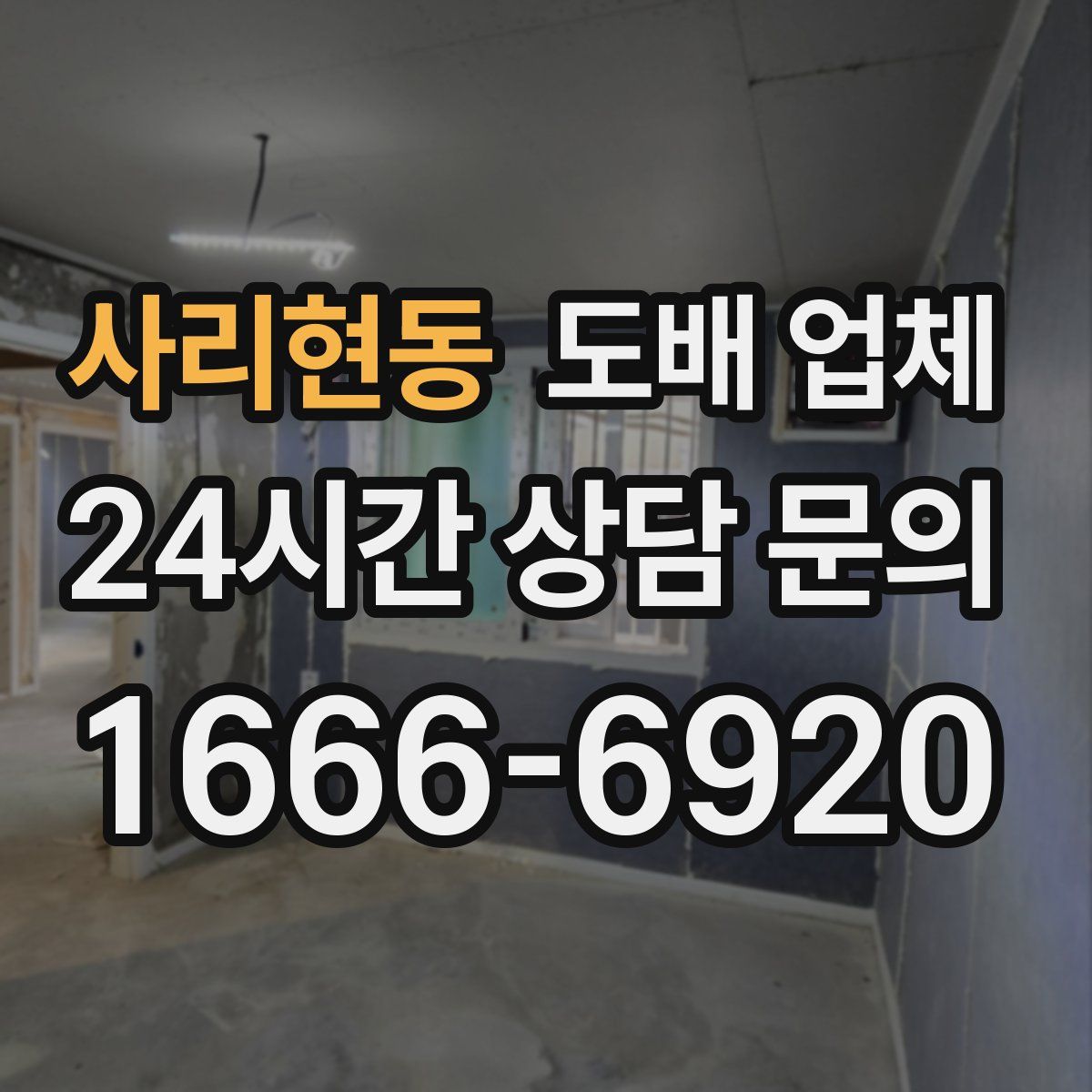 사리현동 도배 업체