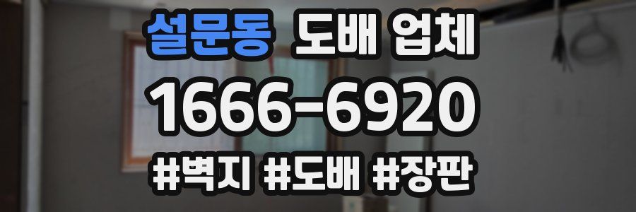 설문동 도배 업체