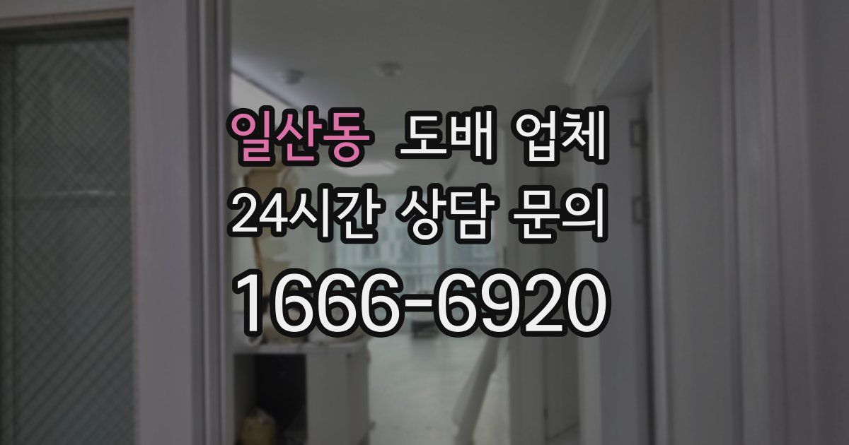 일산동 도배 업체