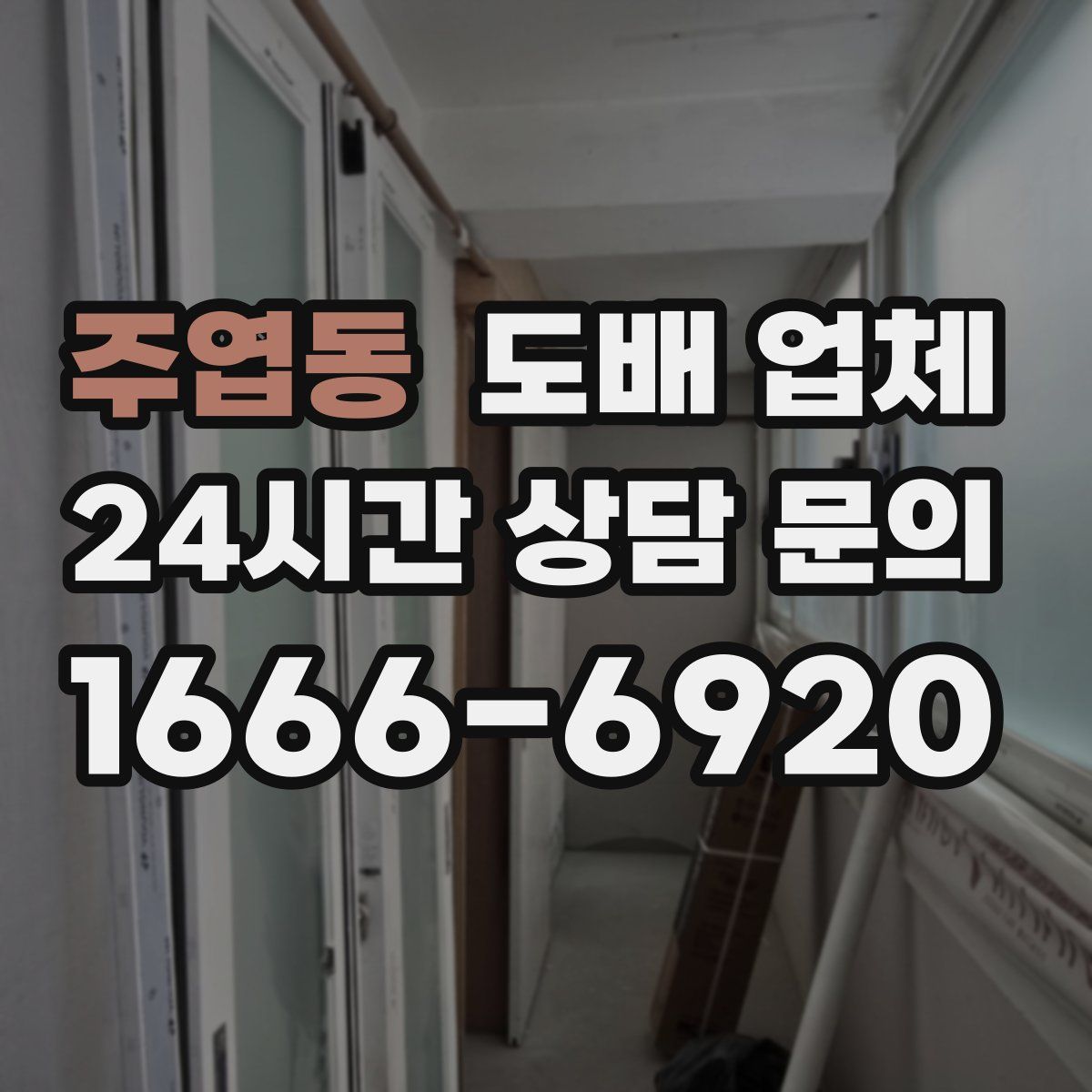주엽동 도배 업체