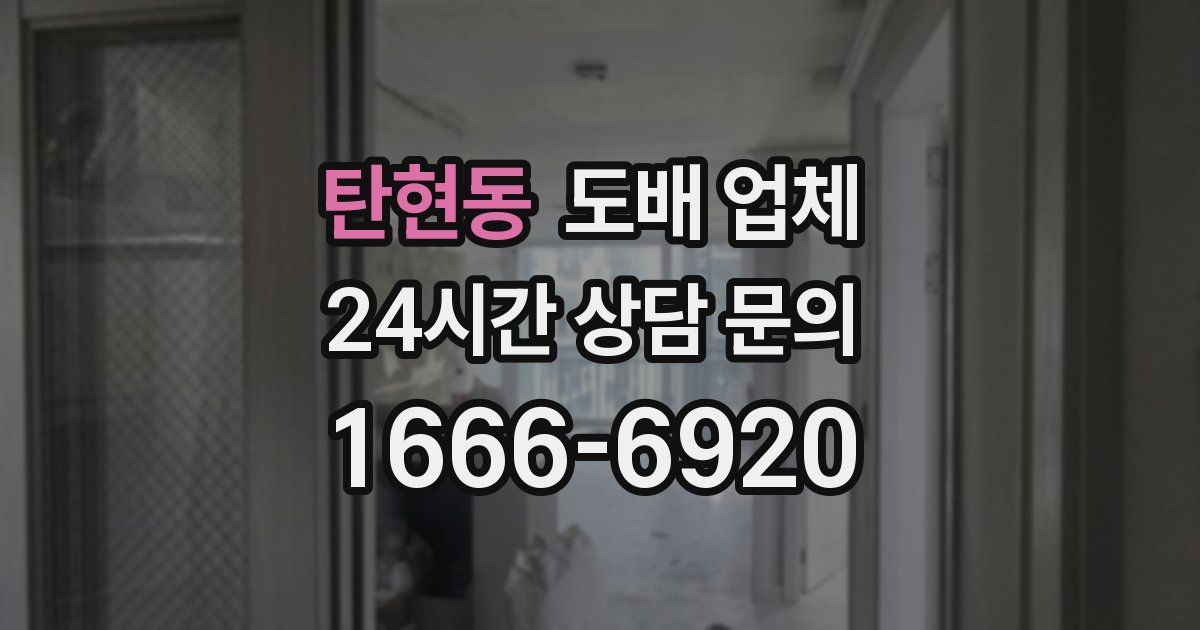 탄현동 도배 업체