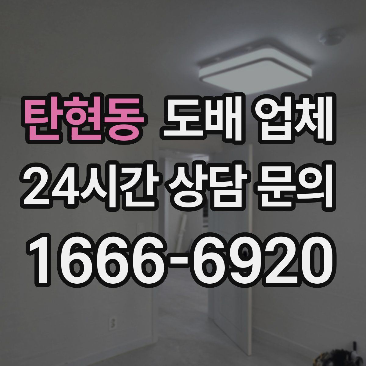 탄현동 도배 업체