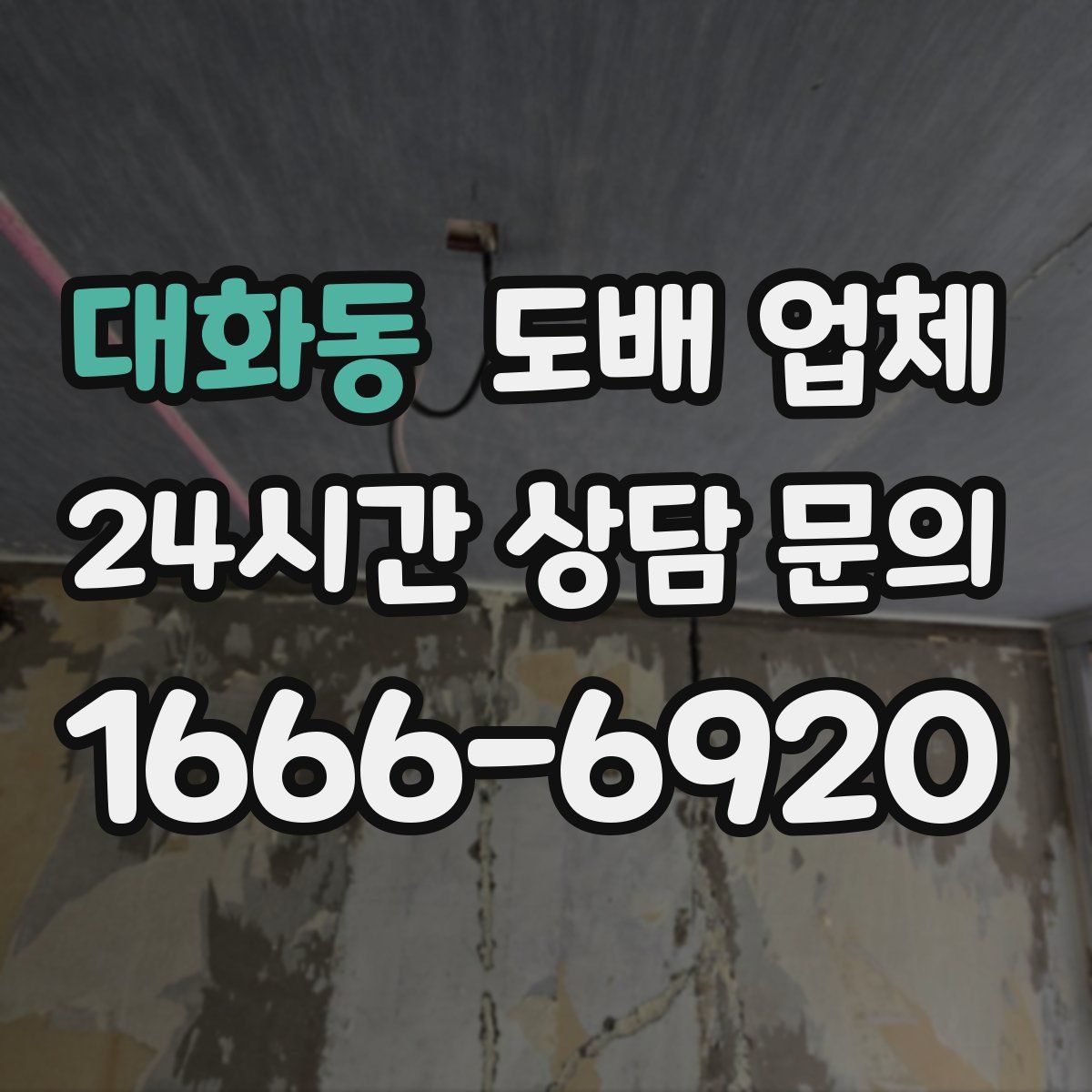 대화동 도배 업체