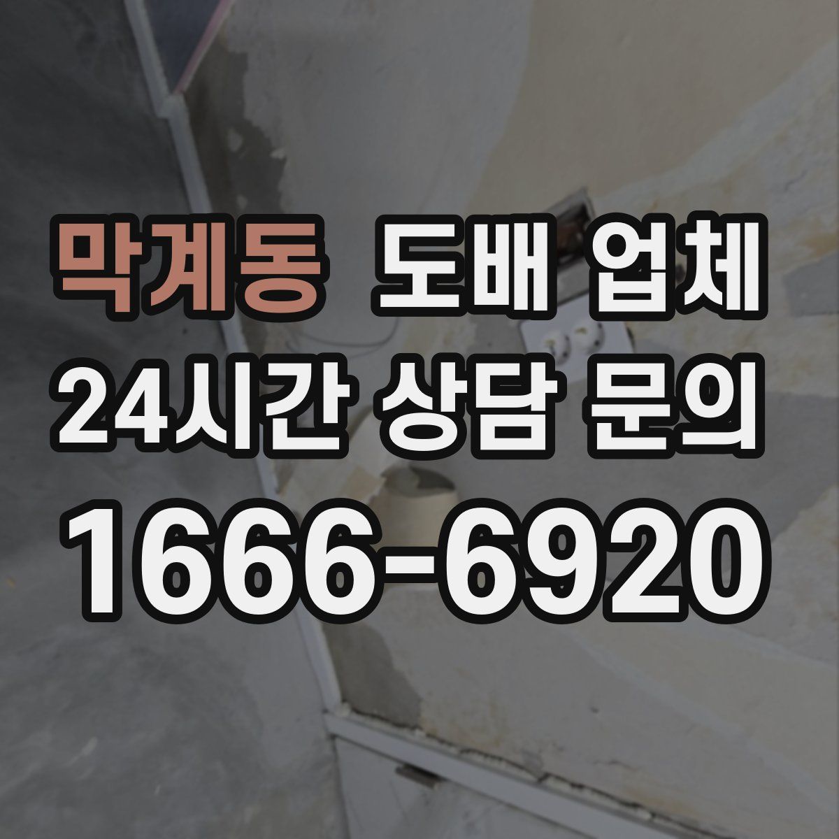 막계동 도배 업체