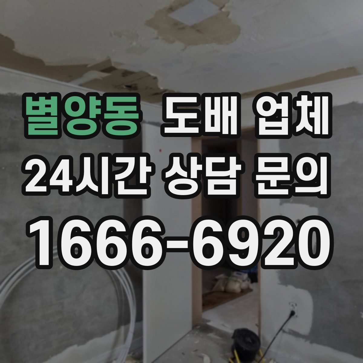 별양동 도배 업체