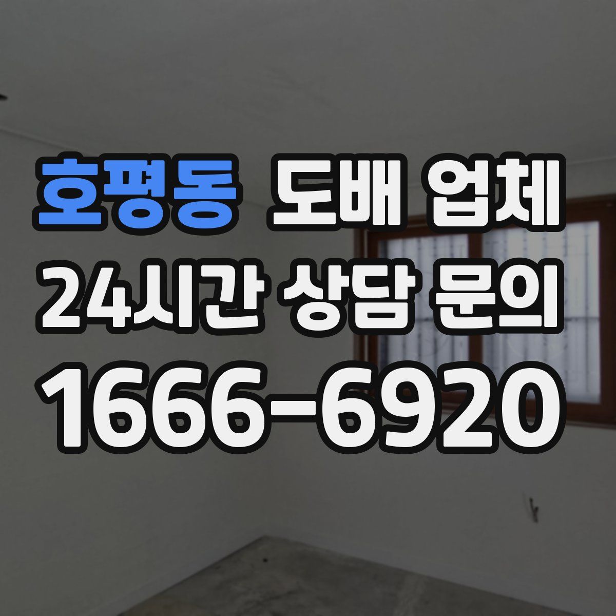 호평동 도배 업체