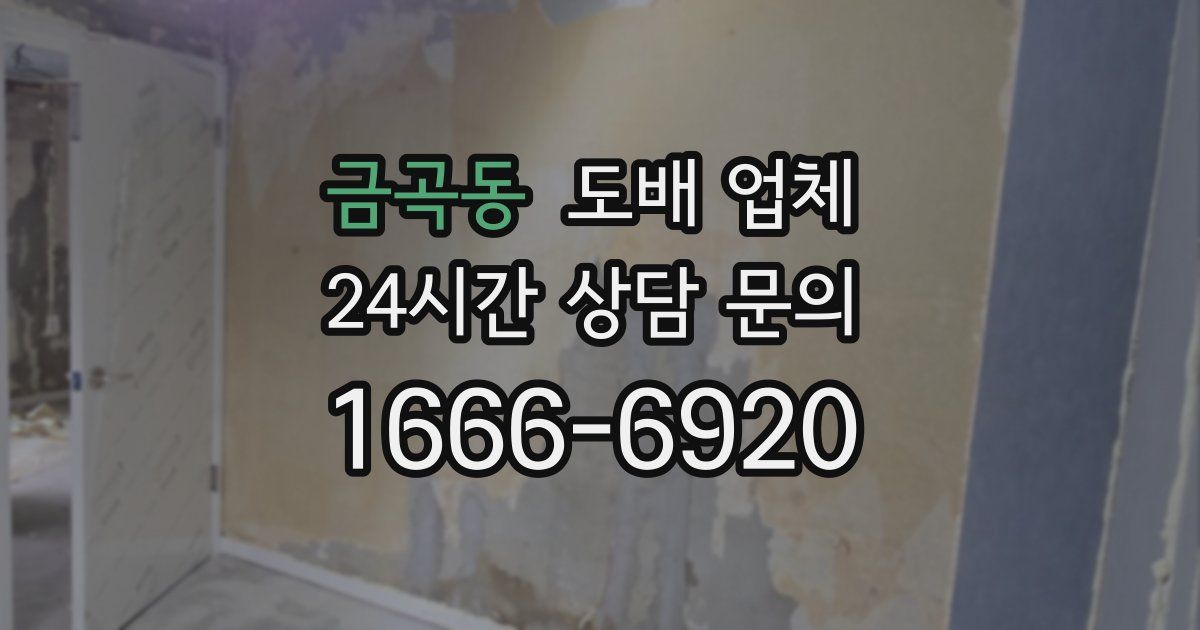 금곡동 도배 업체