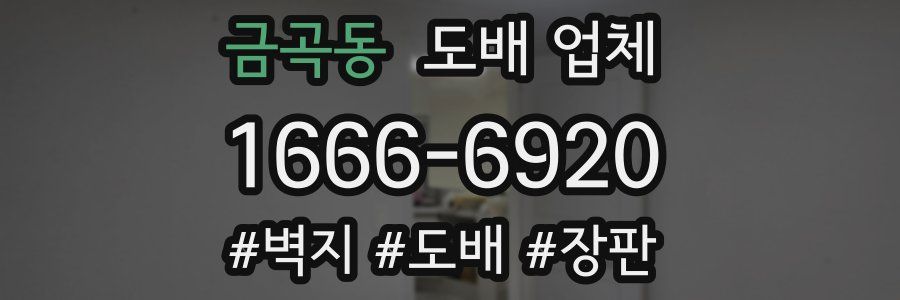 금곡동 도배 업체