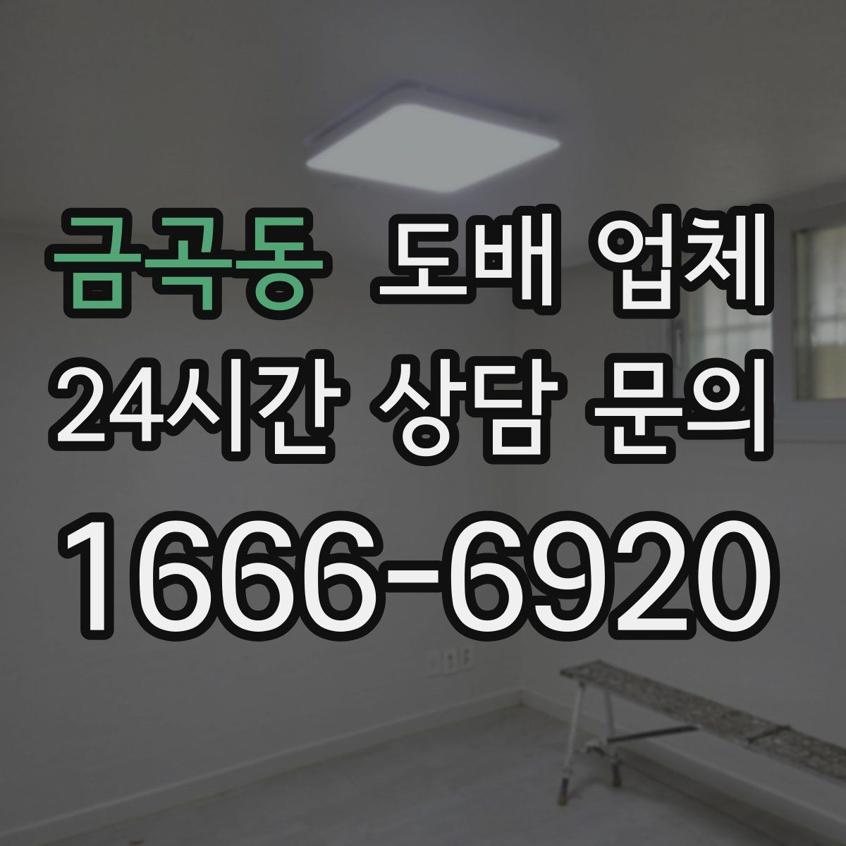 금곡동 도배 업체