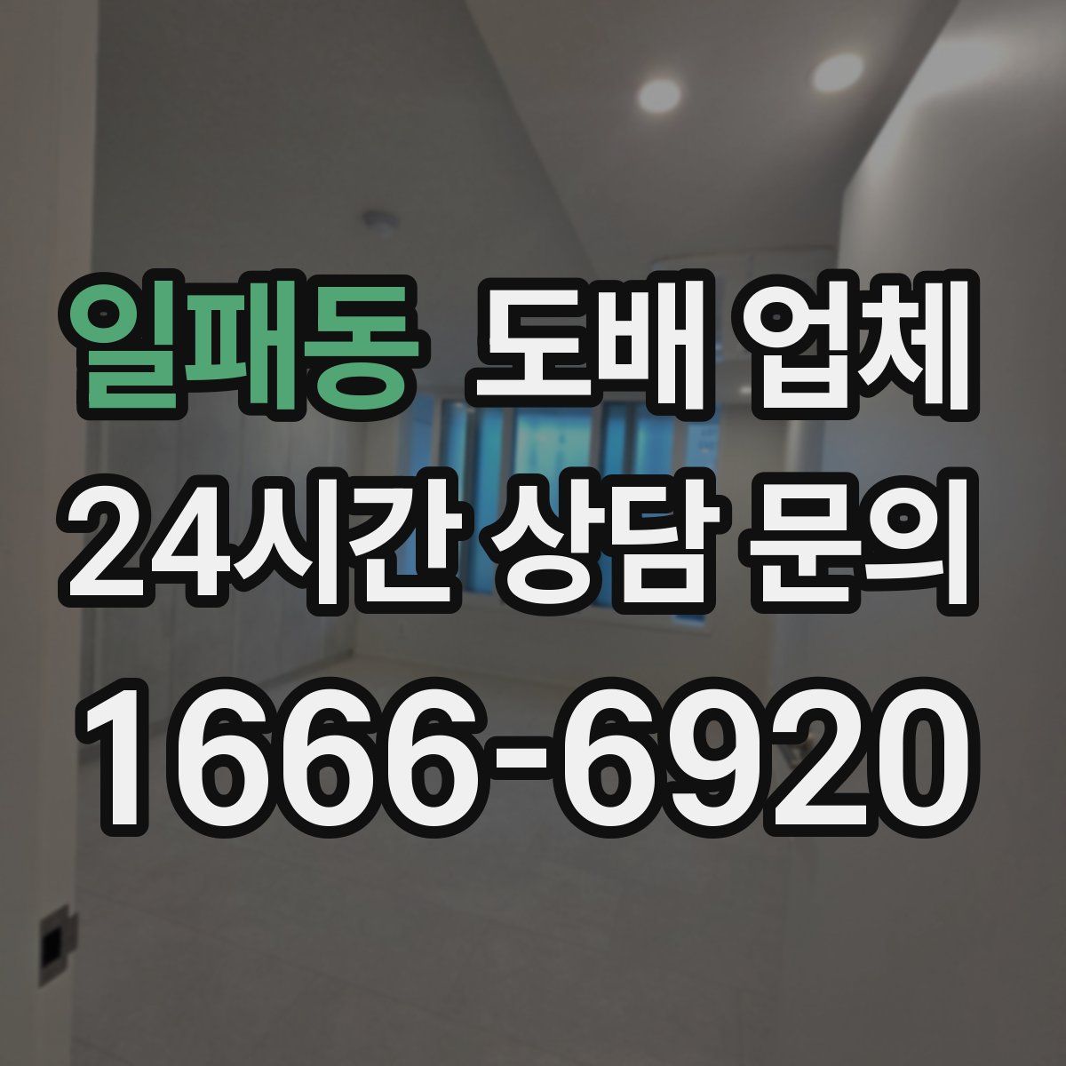 일패동 도배 업체