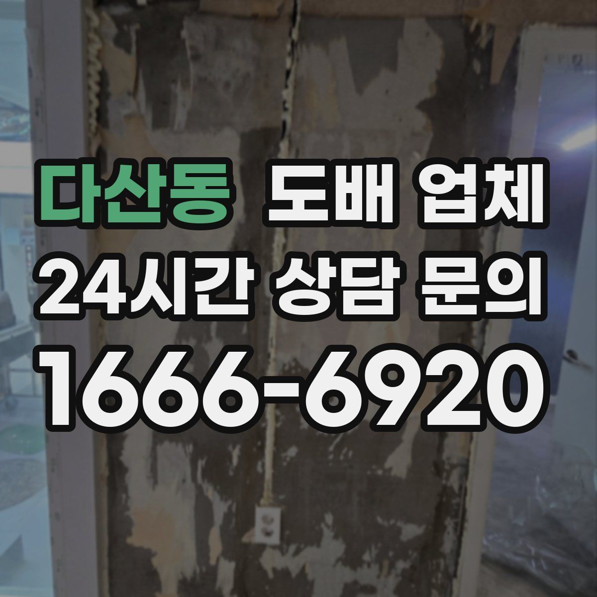 다산동 도배 업체