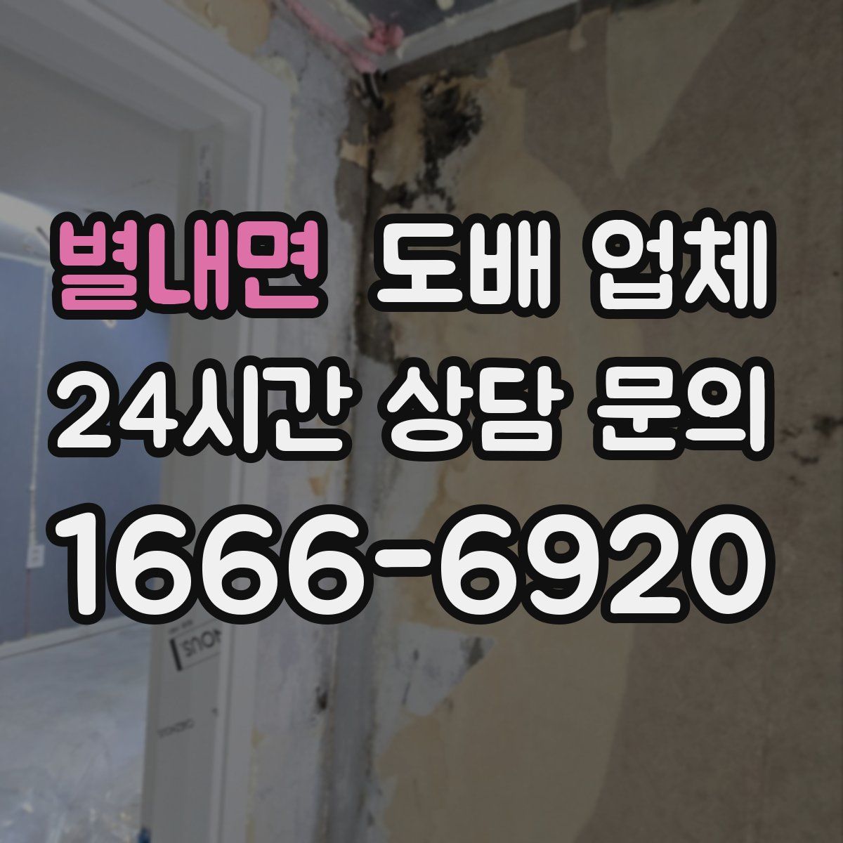 별내면 도배 업체