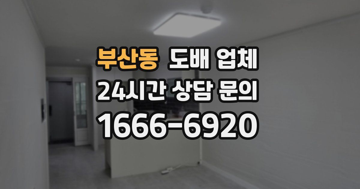 부산동 도배 업체