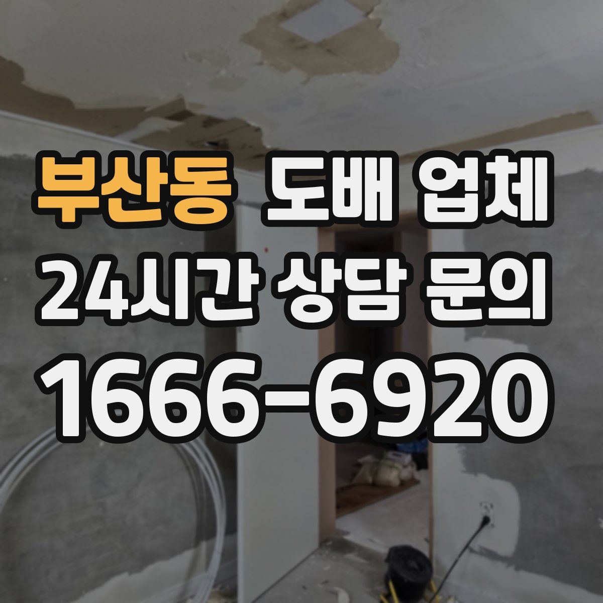 부산동 도배 업체