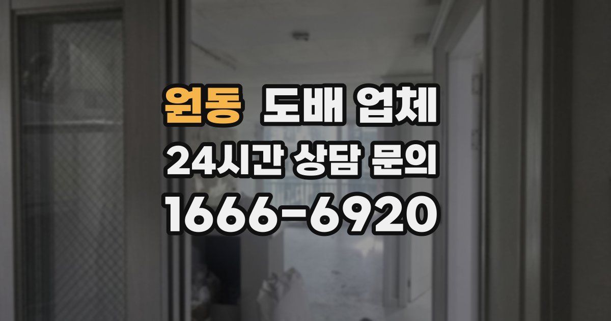 원동 도배 업체