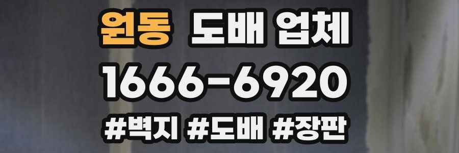원동 도배 업체