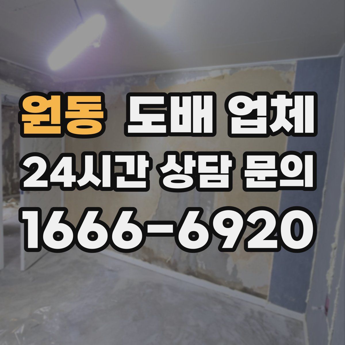 원동 도배 업체