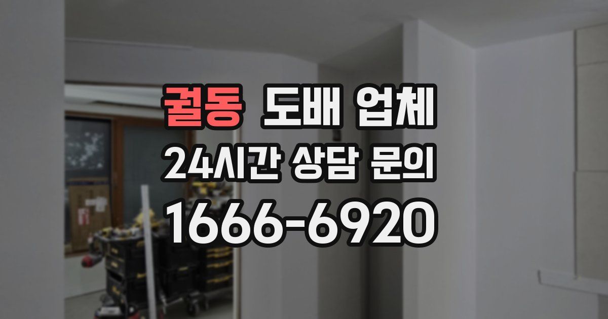 궐동 도배 업체