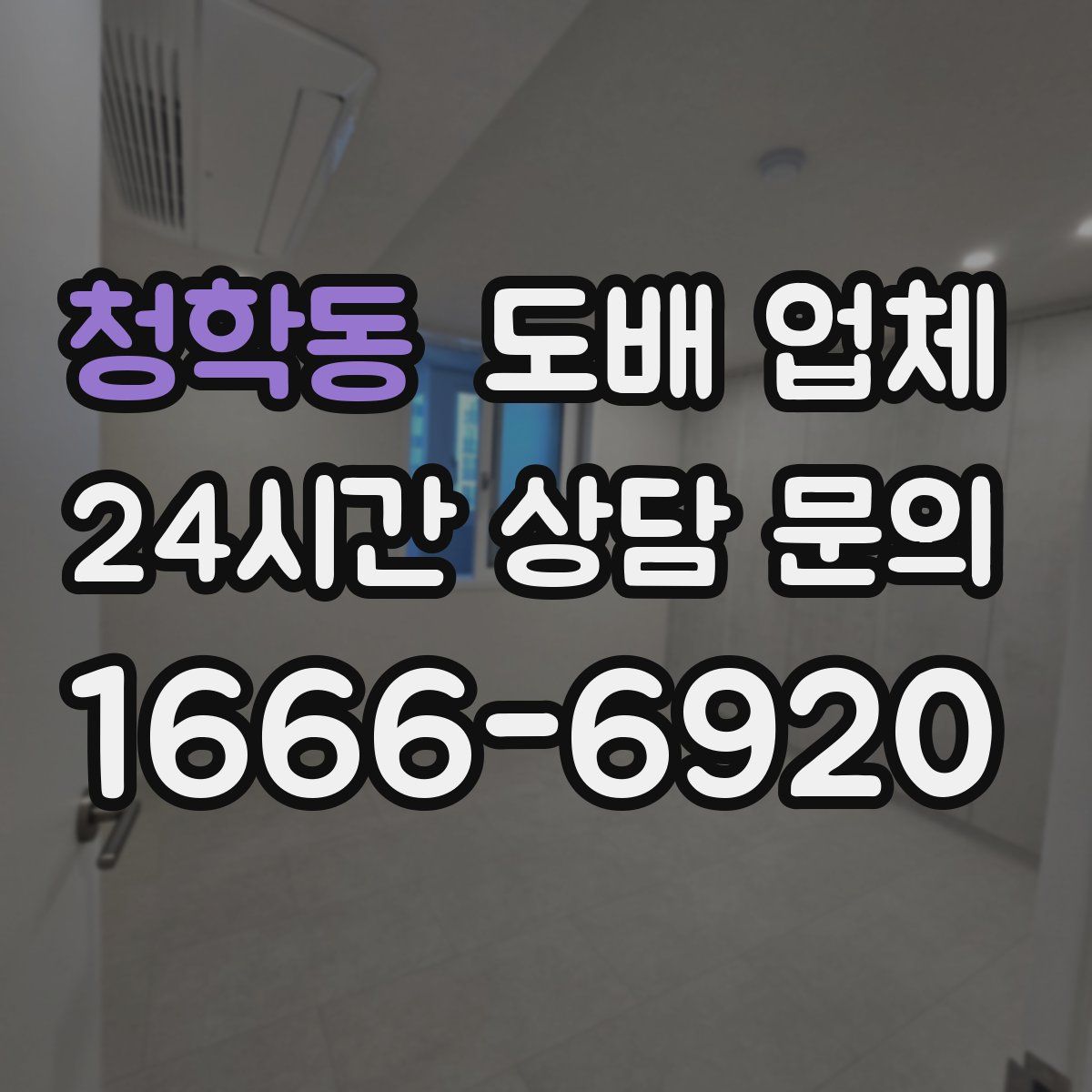 청학동 도배 업체