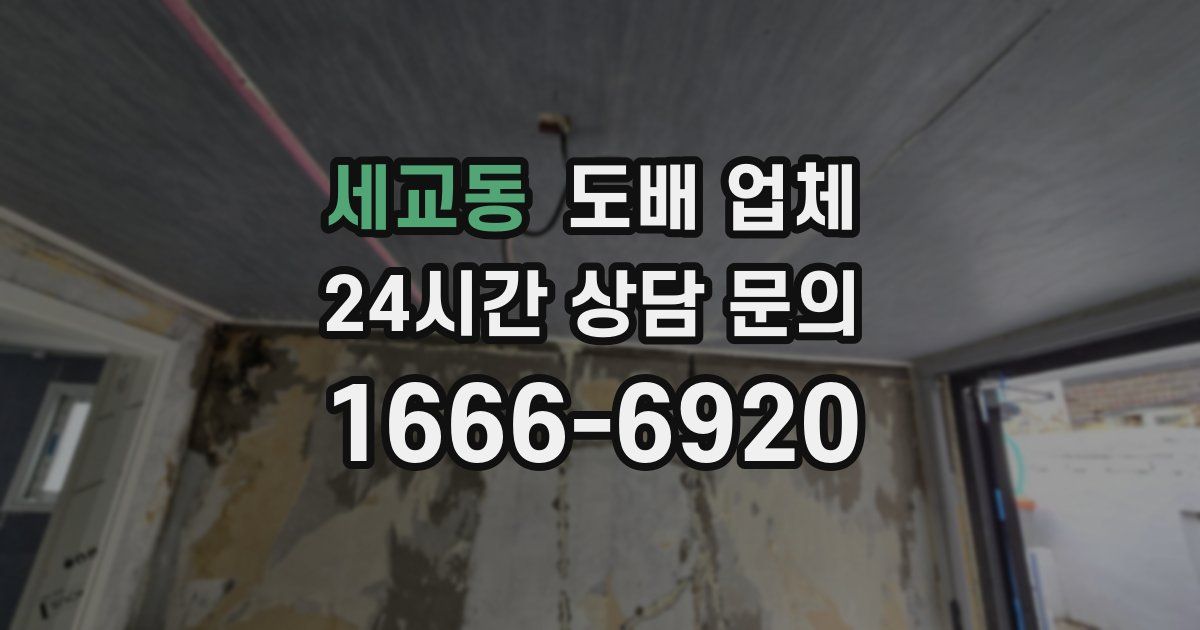 세교동 도배 업체