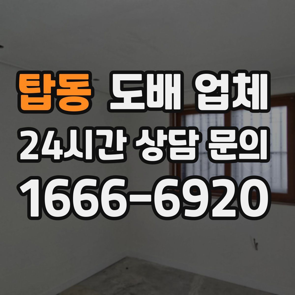 탑동 도배 업체