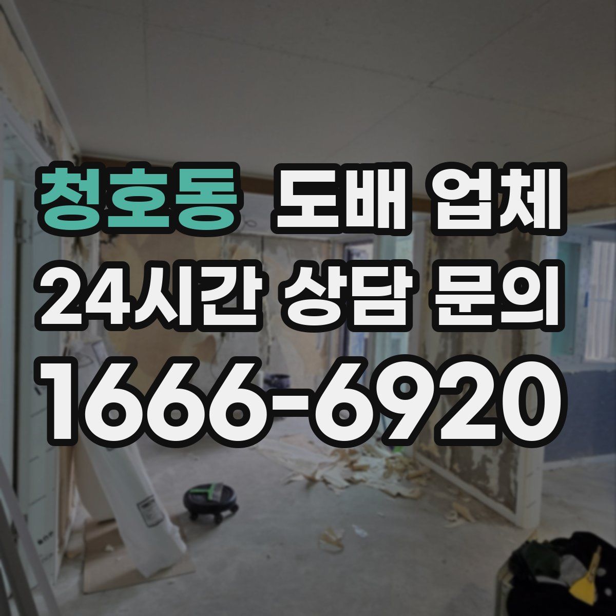 청호동 도배 업체