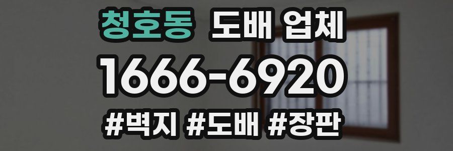 청호동 도배 업체