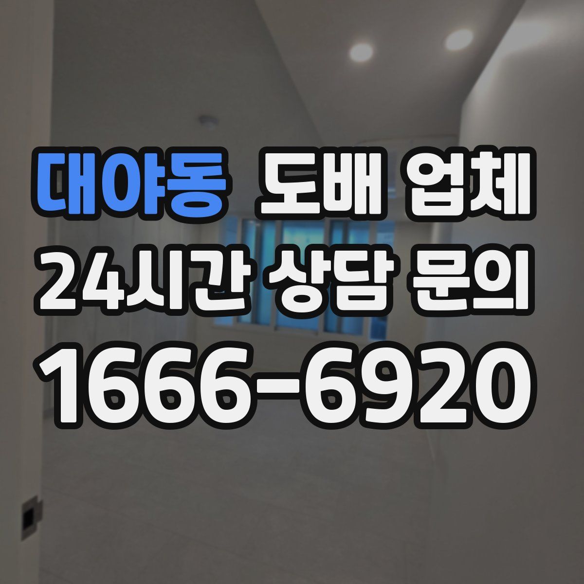 대야동 도배 업체