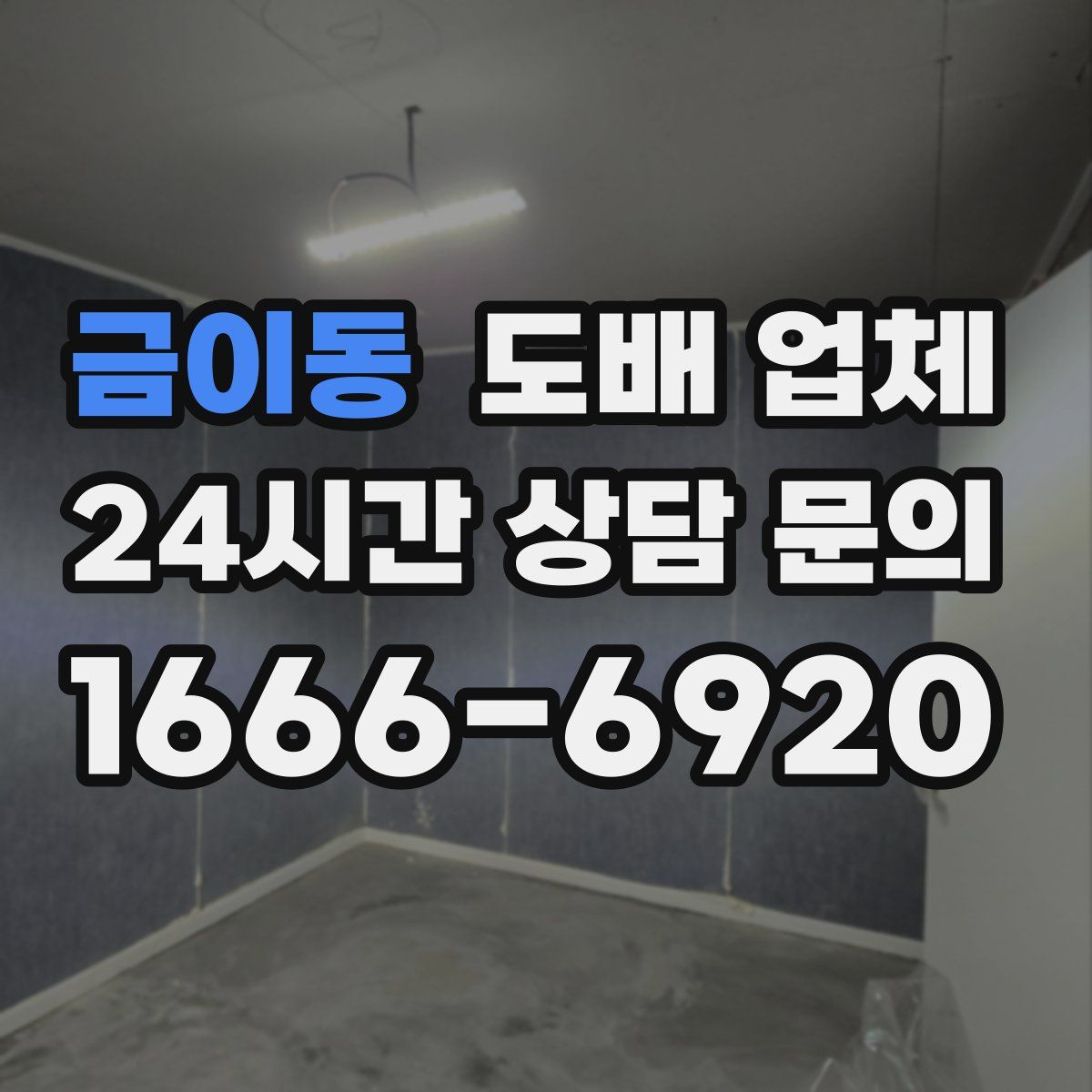 금이동 도배 업체
