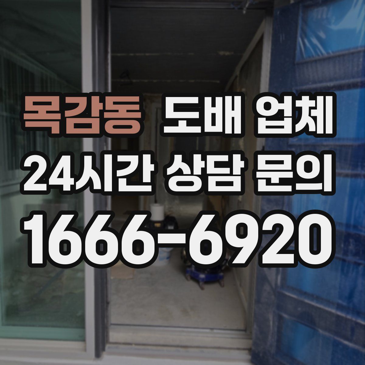 목감동 도배 업체