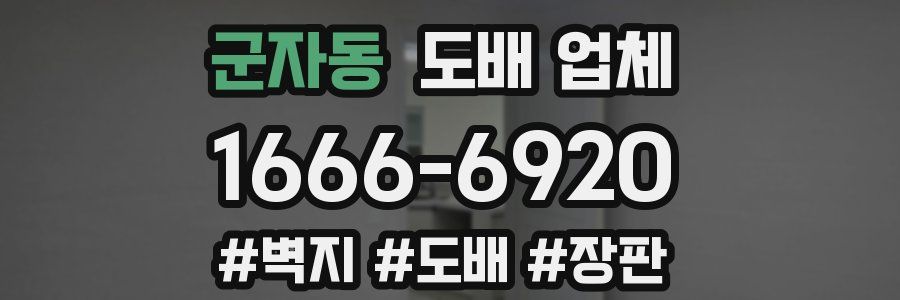 군자동 도배 업체