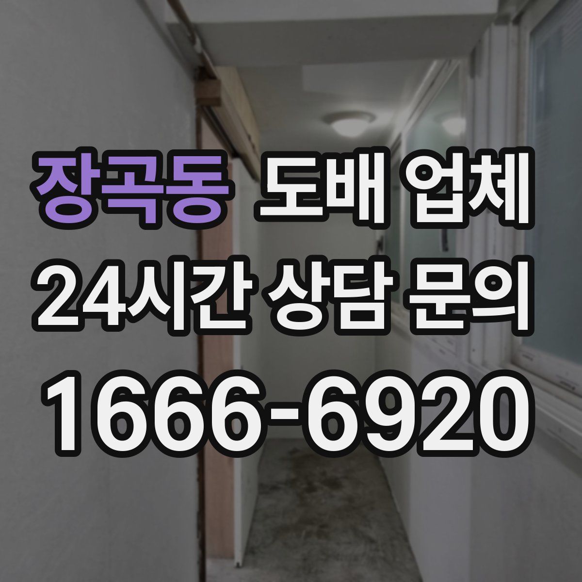 장곡동 도배 업체