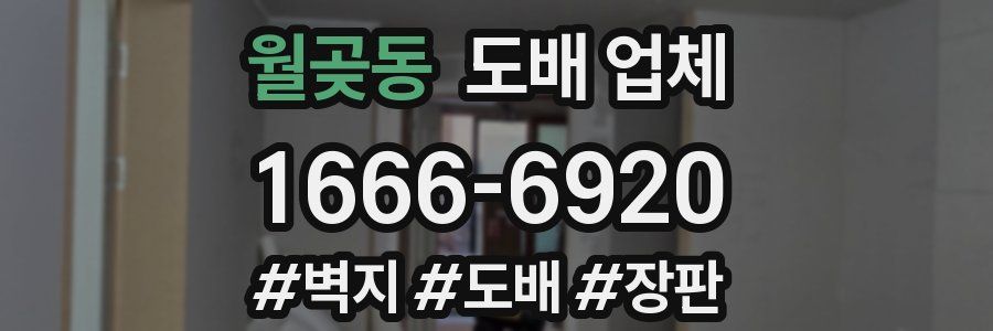 월곶동 도배 업체
